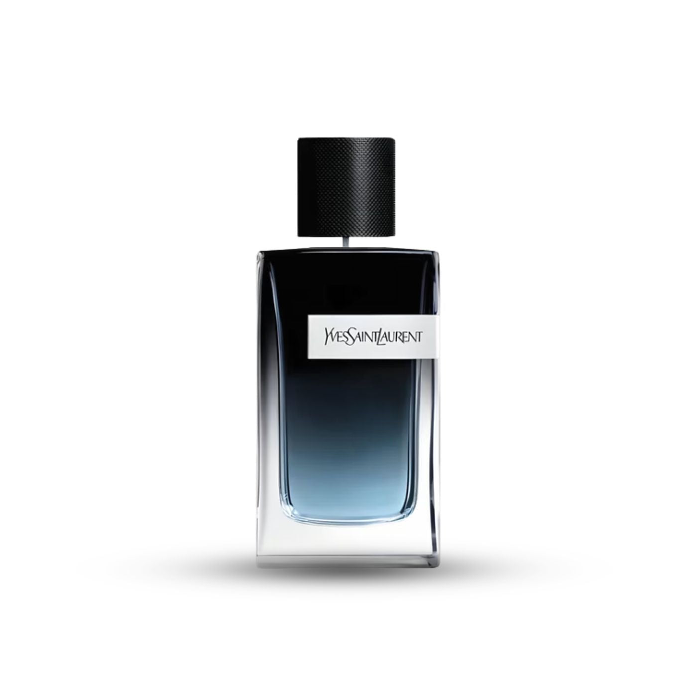 Untitleddesign-2026-03-02T212253.308.jpg