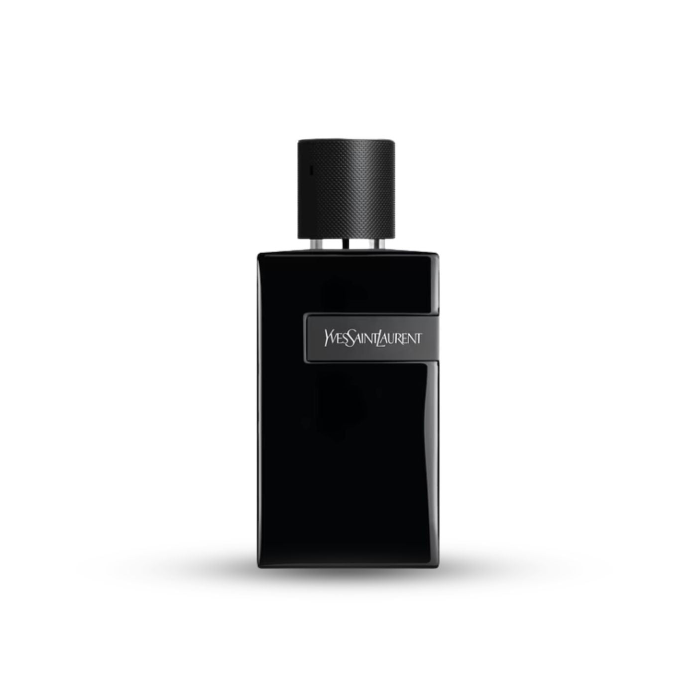 Untitleddesign-2026-03-02T212811.627.jpg